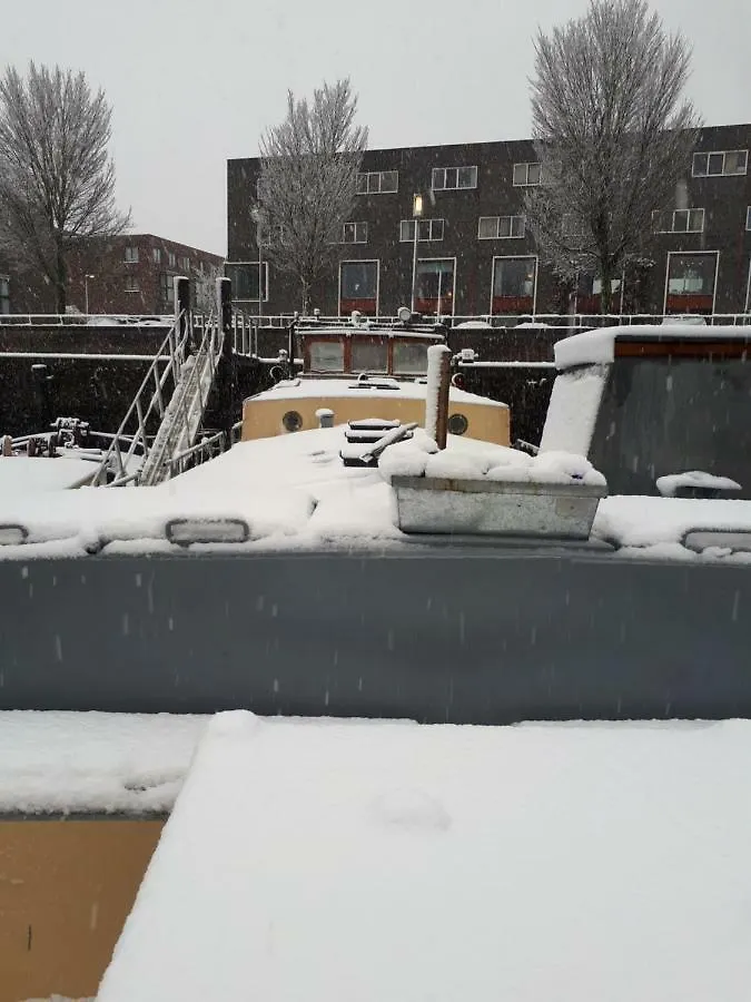 Hotel na wodzie B&B Unitas Rotterdam Holandia